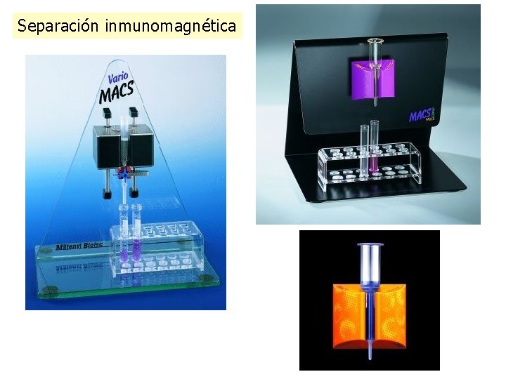 Separación inmunomagnética 