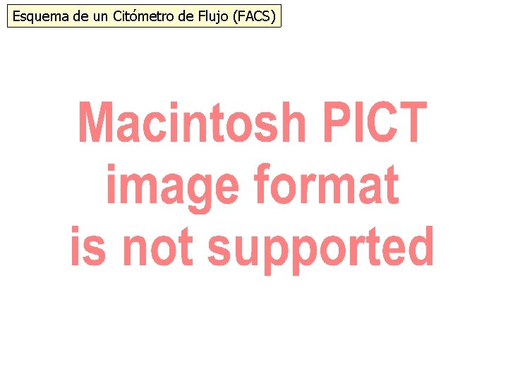 Esquema de un Citómetro de Flujo (FACS) 