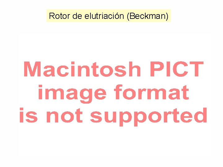 Rotor de elutriación (Beckman) 
