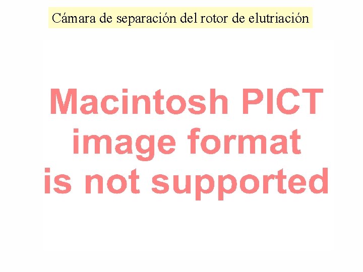 Cámara de separación del rotor de elutriación 