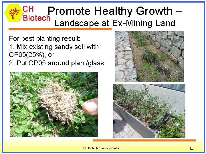 Promote Healthy Growth – Landscape at Ex-Mining Land For best planting result: 1. Mix