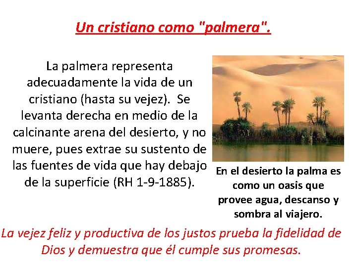 Un cristiano como "palmera". La palmera representa adecuadamente la vida de un cristiano (hasta