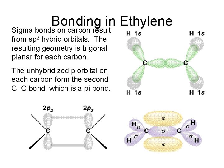 Bonding in Ethylene Sigma bonds on carbon result from sp 2 hybrid orbitals. The