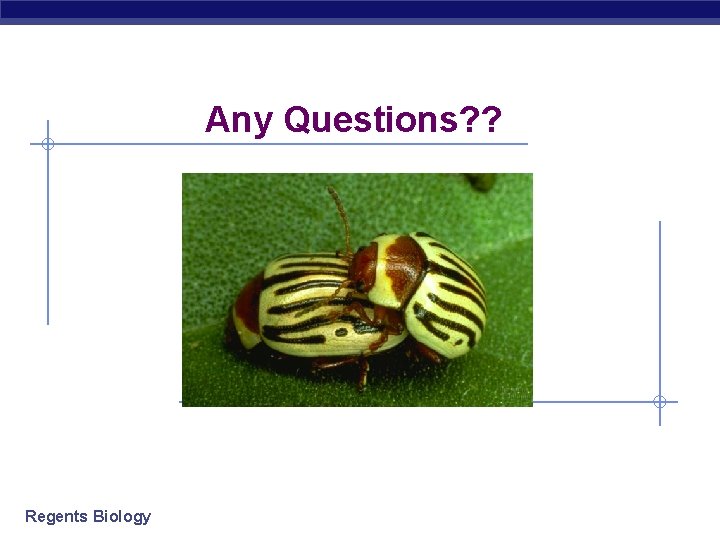 Any Questions? ? Regents Biology Any Questions? ? Regents Biology