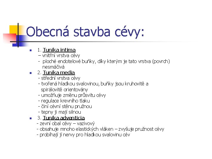 Obecná stavba cévy: n n n 1. Tunika intima – vnitřní vrstva cévy -