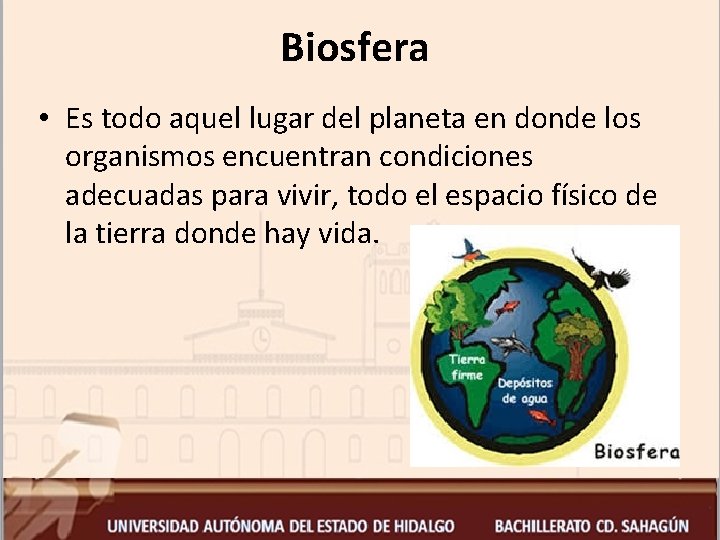 Biosfera • Es todo aquel lugar del planeta en donde los organismos encuentran condiciones