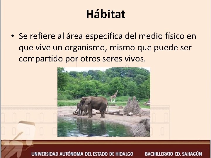 Hábitat • Se refiere al área específica del medio físico en que vive un