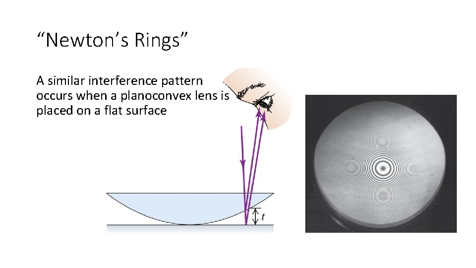 “Newton’s Rings” A similar interference pattern occurs when a planoconvex lens is placed on