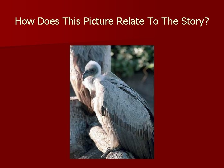 How Does This Picture Relate To The Story? 