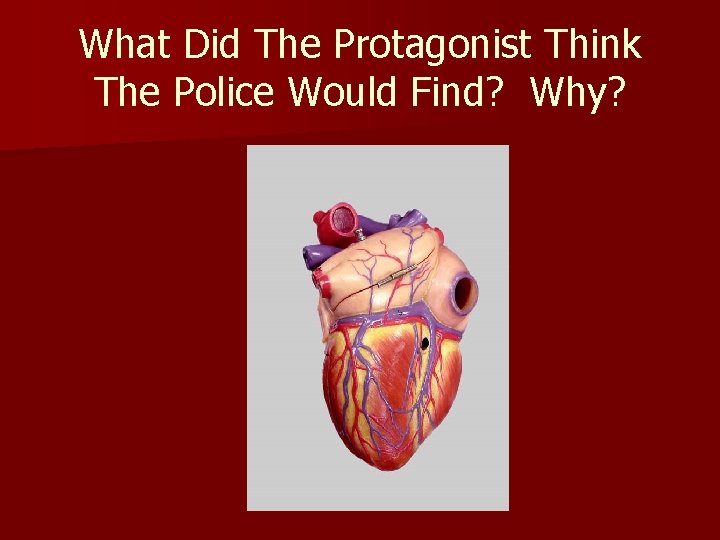 What Did The Protagonist Think The Police Would Find? Why? 