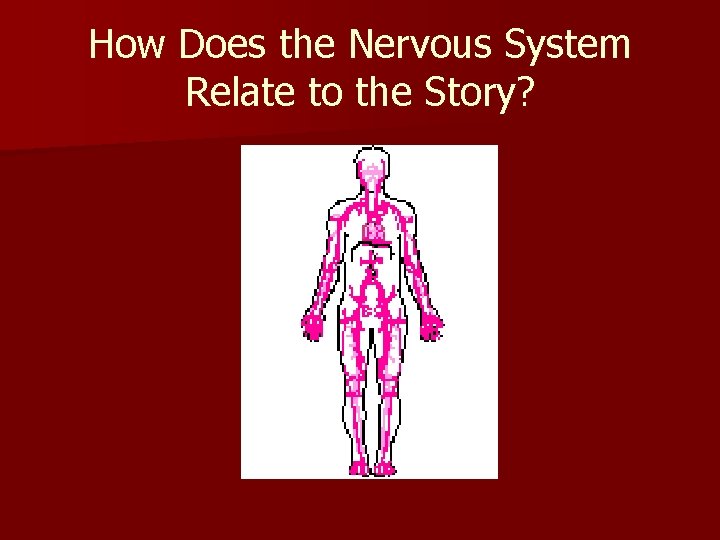 How Does the Nervous System Relate to the Story? 