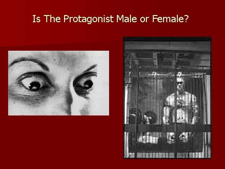 Is The Protagonist Male or Female? 