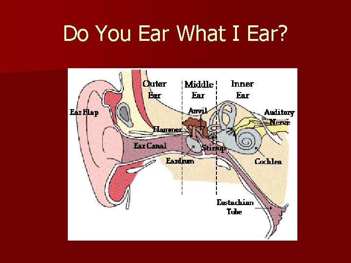 Do You Ear What I Ear? 