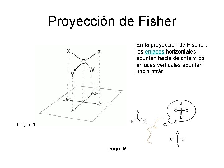 Proyección de Fisher En la proyección de Fischer, los enlaces horizontales apuntan hacia delante