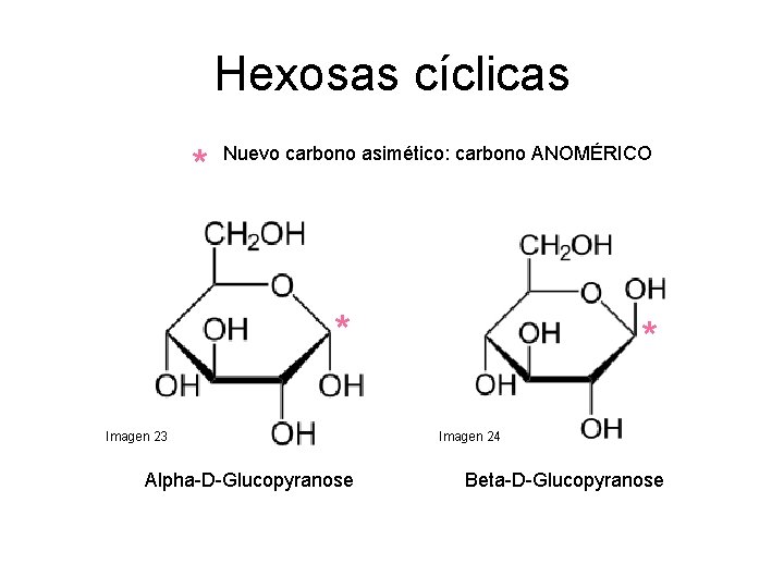 Hexosas cíclicas * Nuevo carbono asimético: carbono ANOMÉRICO * Imagen 23 Alpha D Glucopyranose