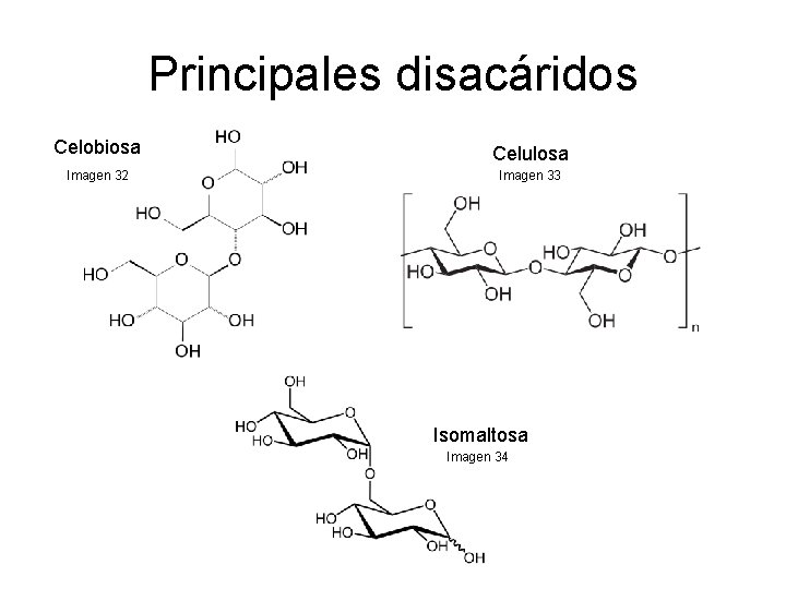Principales disacáridos Celobiosa Imagen 32 Celulosa Imagen 33 Isomaltosa Imagen 34 
