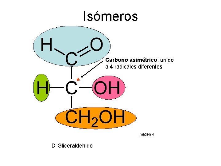 Isómeros Carbono asimétrico: unido a 4 radicales diferentes * Imagen 4 D Gliceraldehido 