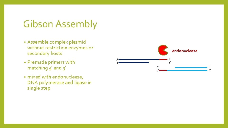 Gibson Assembly • • • Assemble complex plasmid without restriction enzymes or secondary hosts