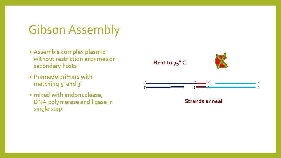 Gibson Assembly • • • Assemble complex plasmid without restriction enzymes or secondary hosts