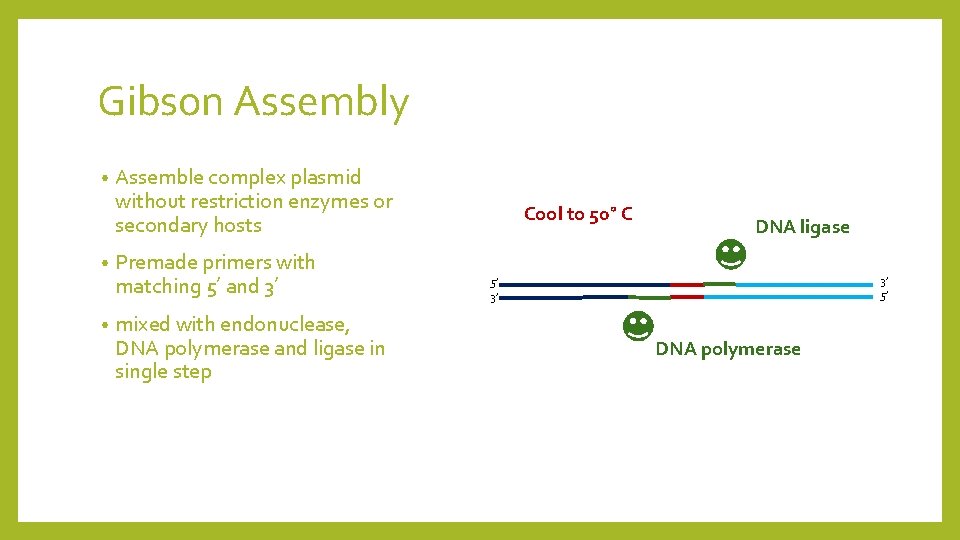 Gibson Assembly • • • Assemble complex plasmid without restriction enzymes or secondary hosts