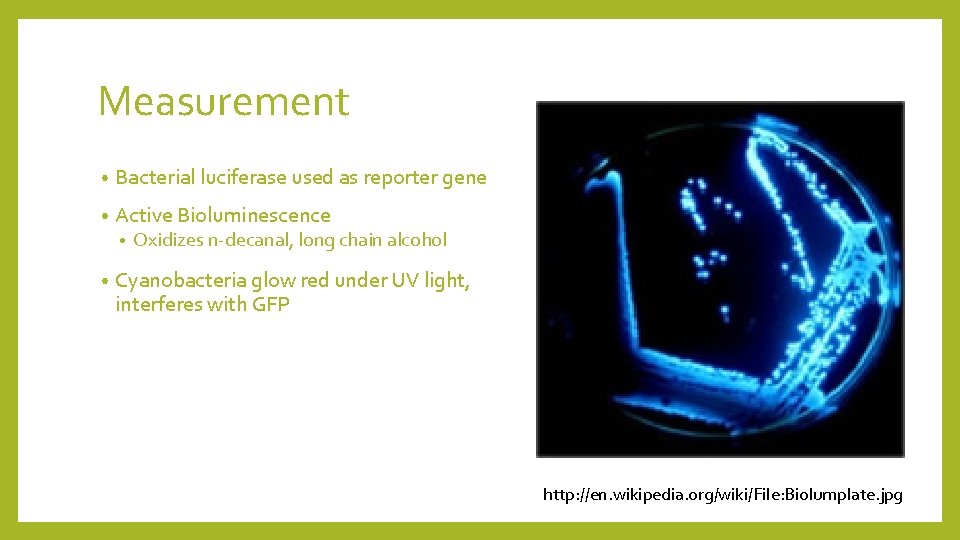 Measurement • Bacterial luciferase used as reporter gene • Active Bioluminescence • • Oxidizes