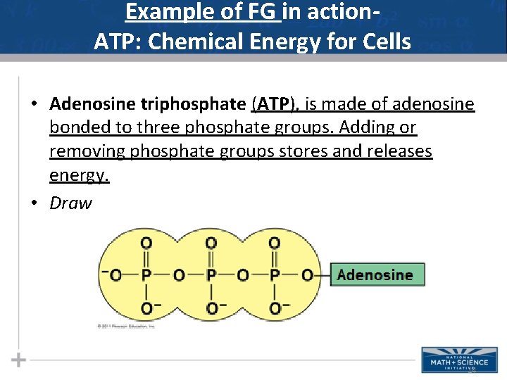 Example of FG in action. ATP: Chemical Energy for Cells • Adenosine triphosphate (ATP),