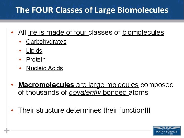 The FOUR Classes of Large Biomolecules • All life is made of four classes