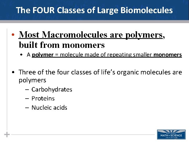 The FOUR Classes of Large Biomolecules • Most Macromolecules are polymers, built from monomers