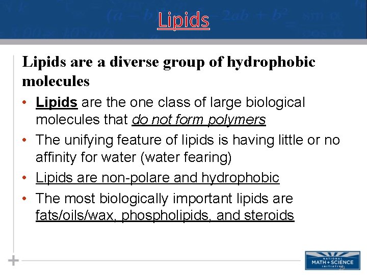 Lipids are a diverse group of hydrophobic molecules • Lipids are the one class