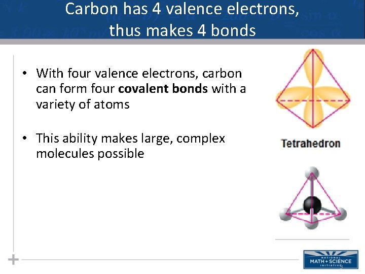 Carbon has 4 valence electrons, thus makes 4 bonds • With four valence electrons,