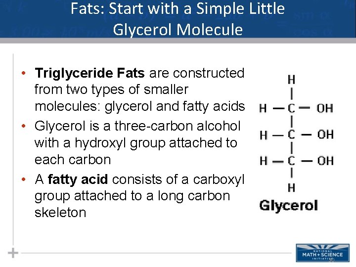 Fats: Start with a Simple Little Glycerol Molecule • Triglyceride Fats are constructed from