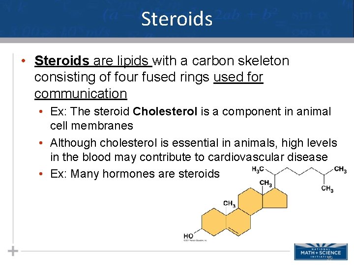 Steroids • Steroids are lipids with a carbon skeleton consisting of four fused rings