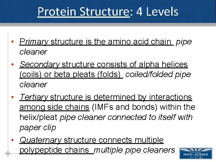 Protein Structure: 4 Levels • Primary structure is the amino acid chain pipe cleaner