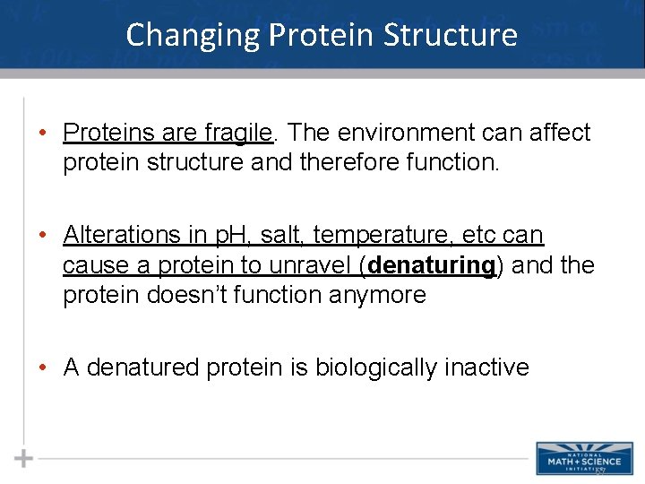 Changing Protein Structure • Proteins are fragile. The environment can affect protein structure and