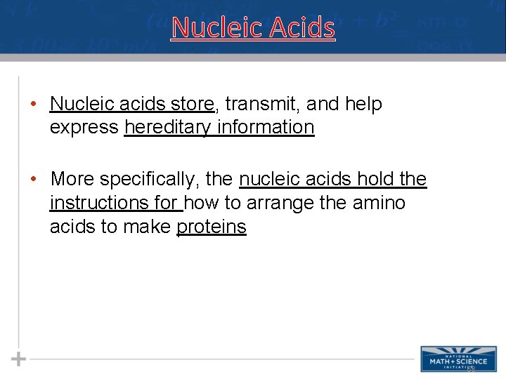 Nucleic Acids • Nucleic acids store, transmit, and help express hereditary information • More