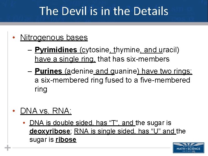 The Devil is in the Details • Nitrogenous bases – Pyrimidines (cytosine, thymine, and