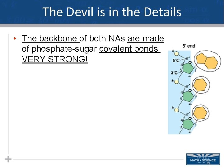 The Devil is in the Details • The backbone of both NAs are made