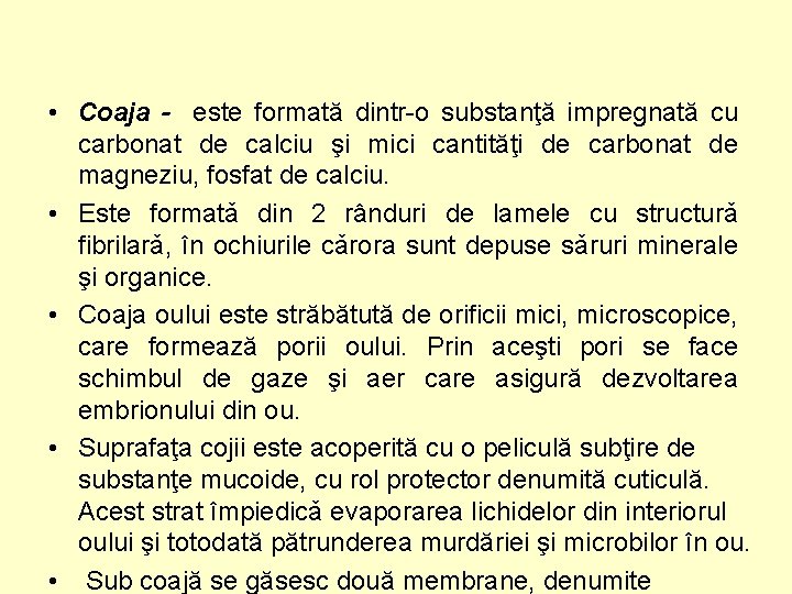  • Coaja - este formată dintr-o substanţă impregnată cu carbonat de calciu şi