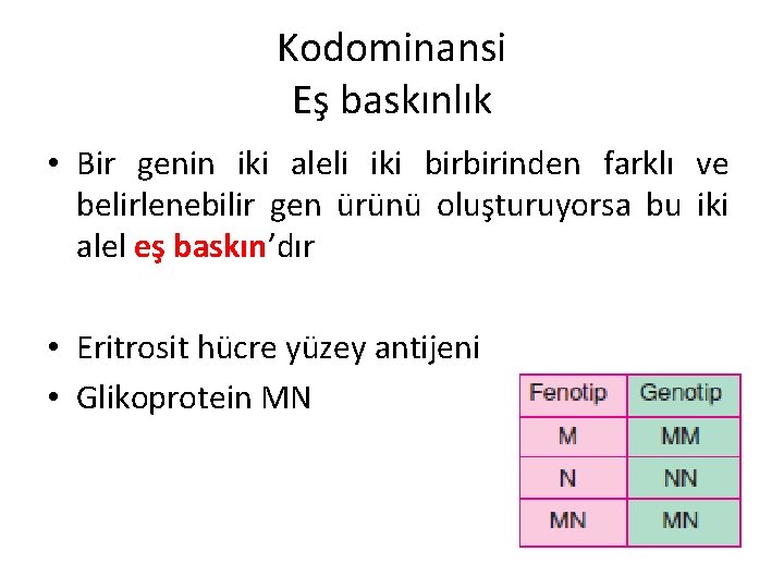 Kodominansi Eş baskınlık • Bir genin iki aleli iki birbirinden farklı ve belirlenebilir gen