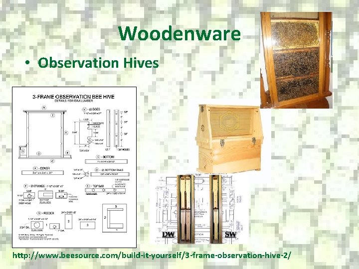Woodenware • Observation Hives http: //www. beesource. com/build-it-yourself/3 -frame-observation-hive-2/ 