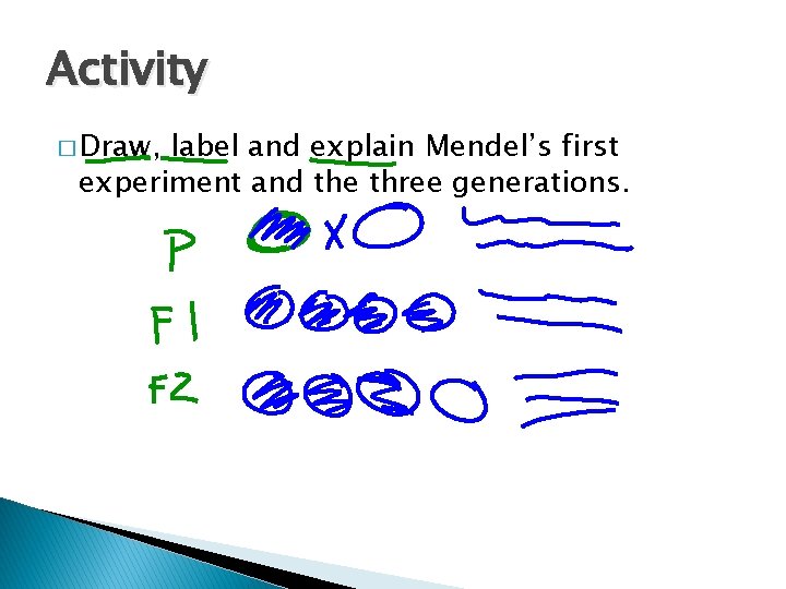 Activity � Draw, label and explain Mendel’s first experiment and the three generations. 
