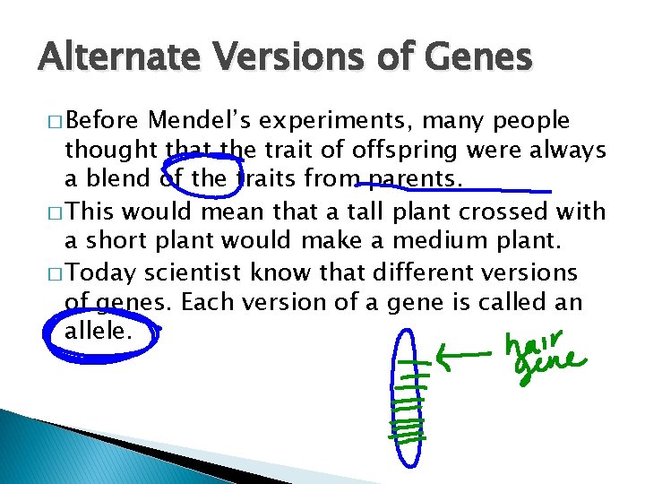 Alternate Versions of Genes � Before Mendel’s experiments, many people thought that the trait