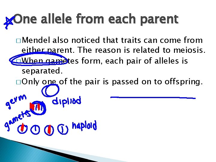 One allele from each parent � Mendel also noticed that traits can come from