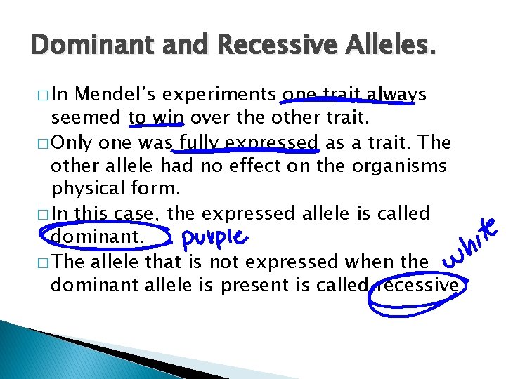 Dominant and Recessive Alleles. � In Mendel’s experiments one trait always seemed to win