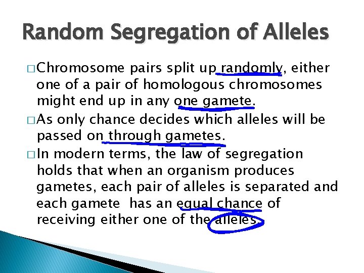 Random Segregation of Alleles � Chromosome pairs split up randomly, either one of a