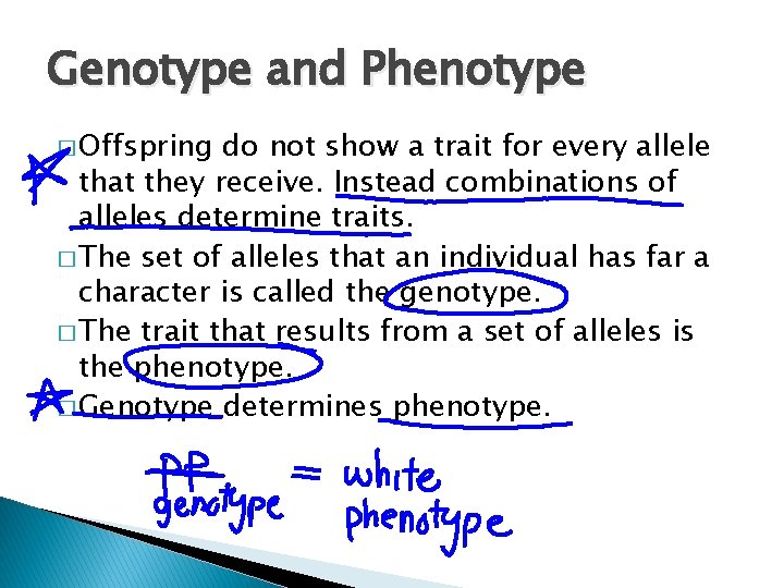 Genotype and Phenotype � Offspring do not show a trait for every allele that