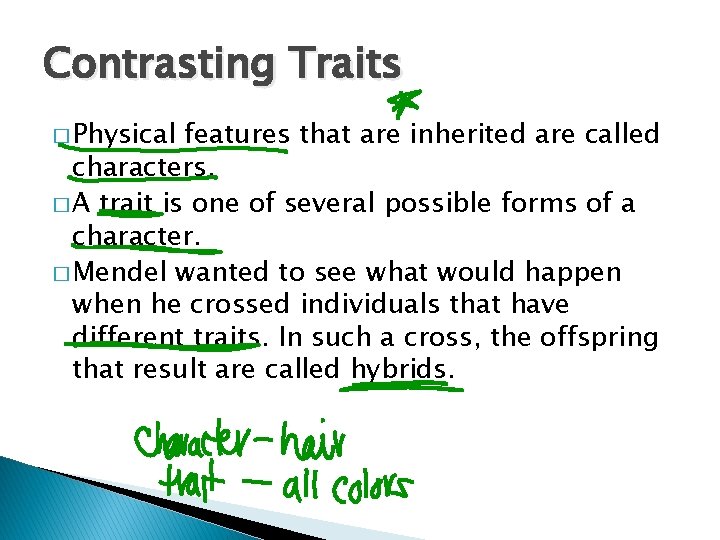 Contrasting Traits � Physical features that are inherited are called characters. � A trait