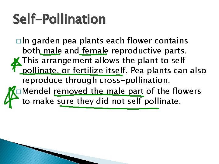 Self-Pollination � In garden pea plants each flower contains both male and female reproductive