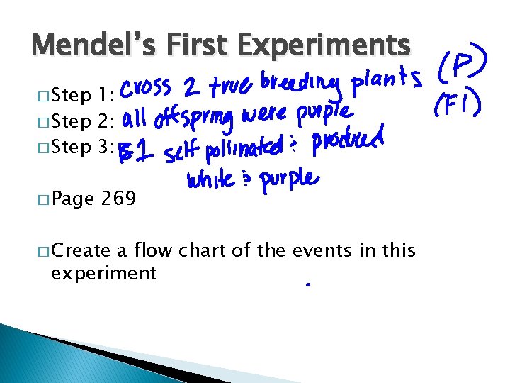 Mendel’s First Experiments � Step 1: � Step 2: � Step 3: � Page