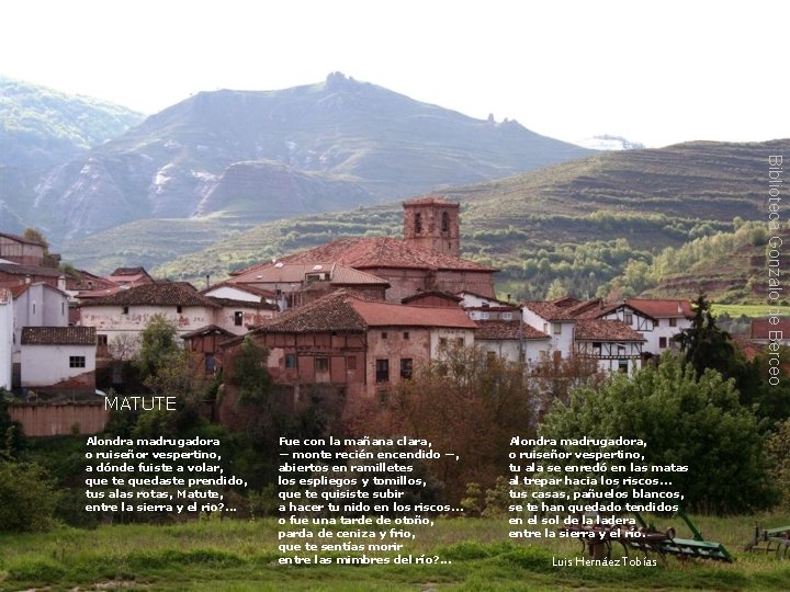 Biblioteca Gonzalo de Berceo MATUTE Alondra madrugadora o ruiseñor vespertino, a dónde fuiste a
